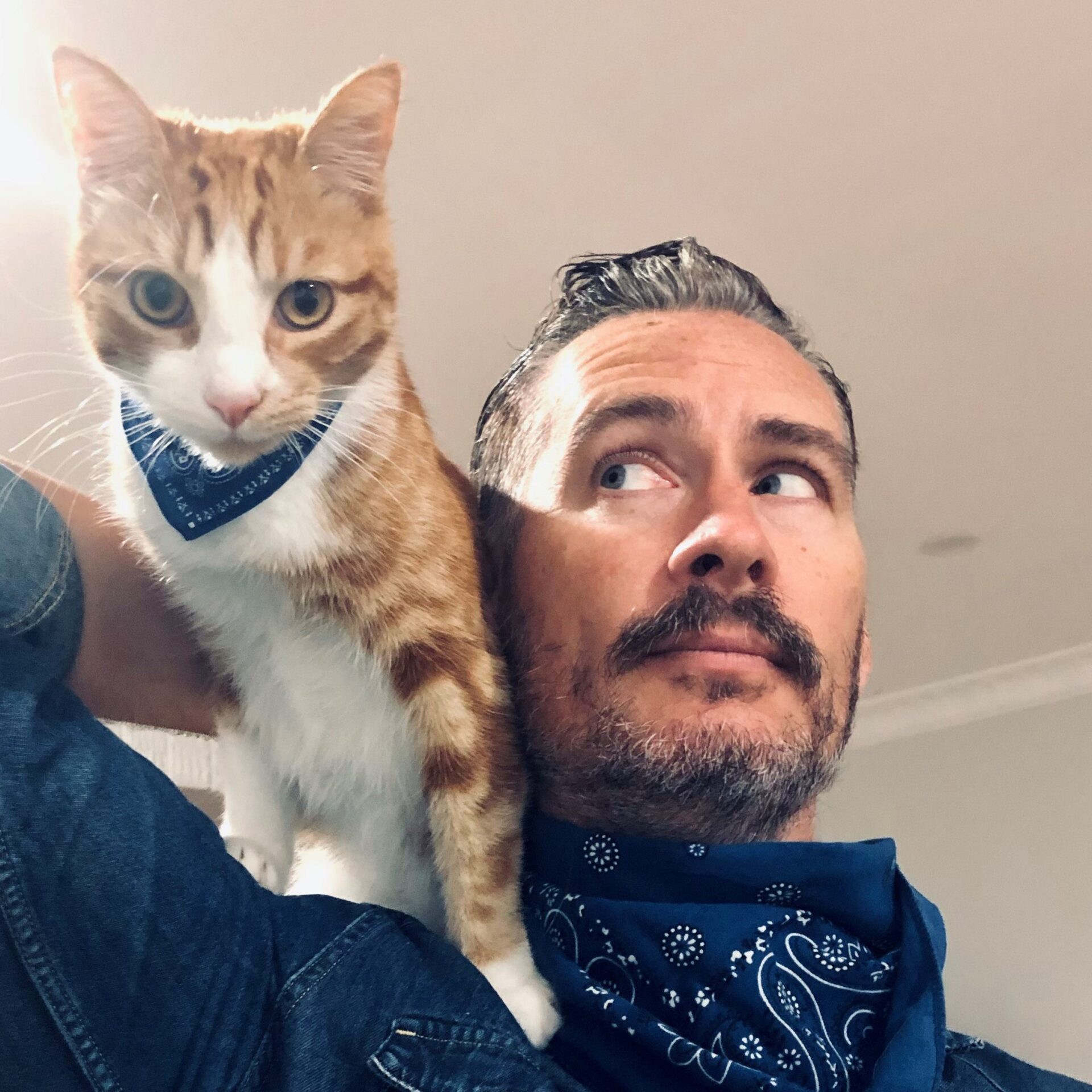 ninja in scarf sq – Glenny g